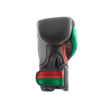 "Hitman" Boxing Gloves Premium - Black/Red/Green